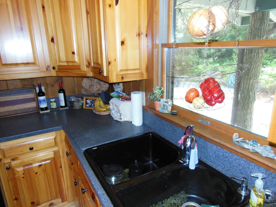 everything including the kitchen sink