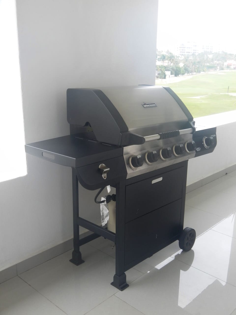 Gas grill