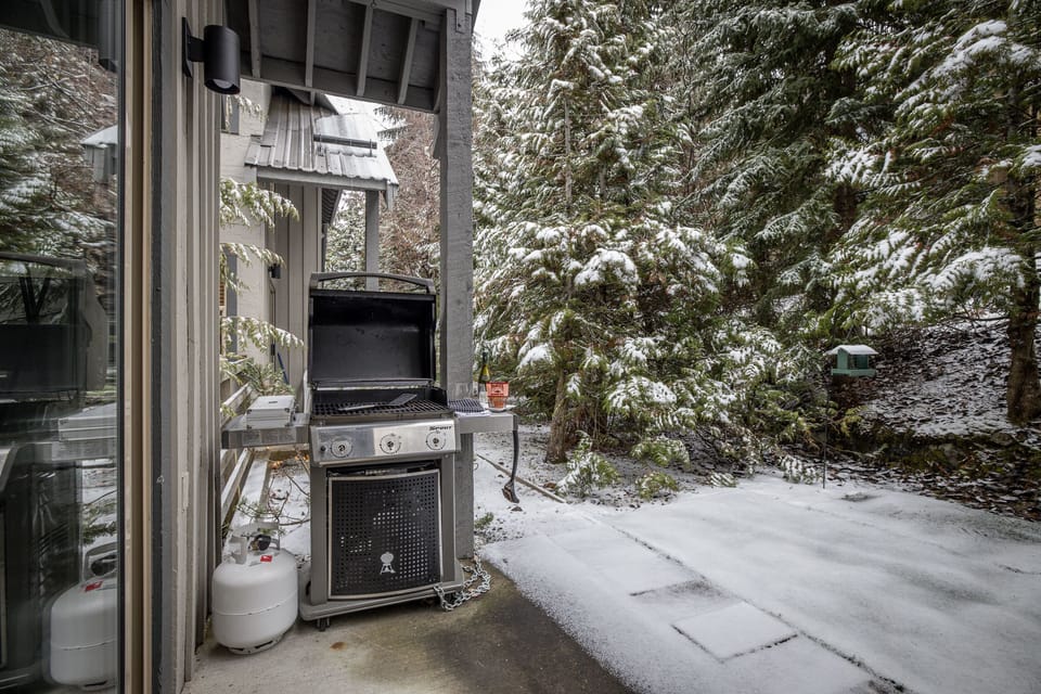 Backyard patio with BBQ
