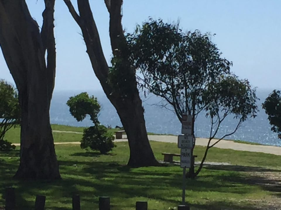 The bluff across from the house