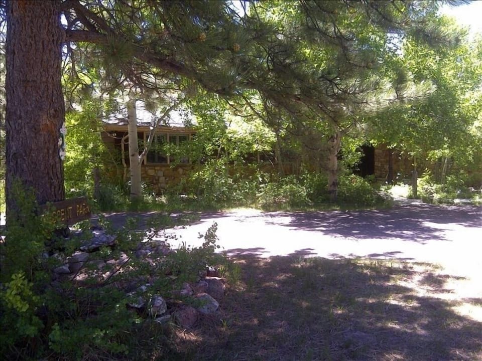 Front View of Home and Drive in Mid-Summer