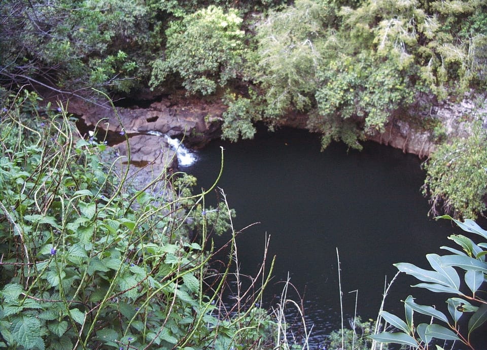 Swim in any of the tropical pools you will see on the way to Hana
