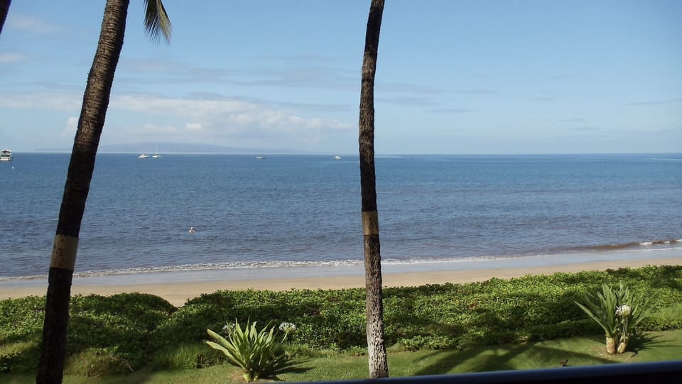 A view of the beach from the lanai, just steps from the ocean