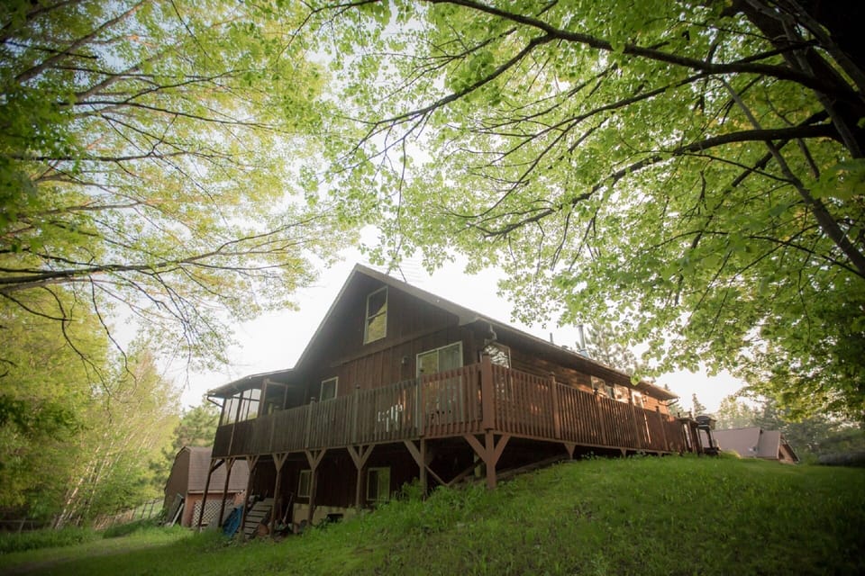 The Cedar House