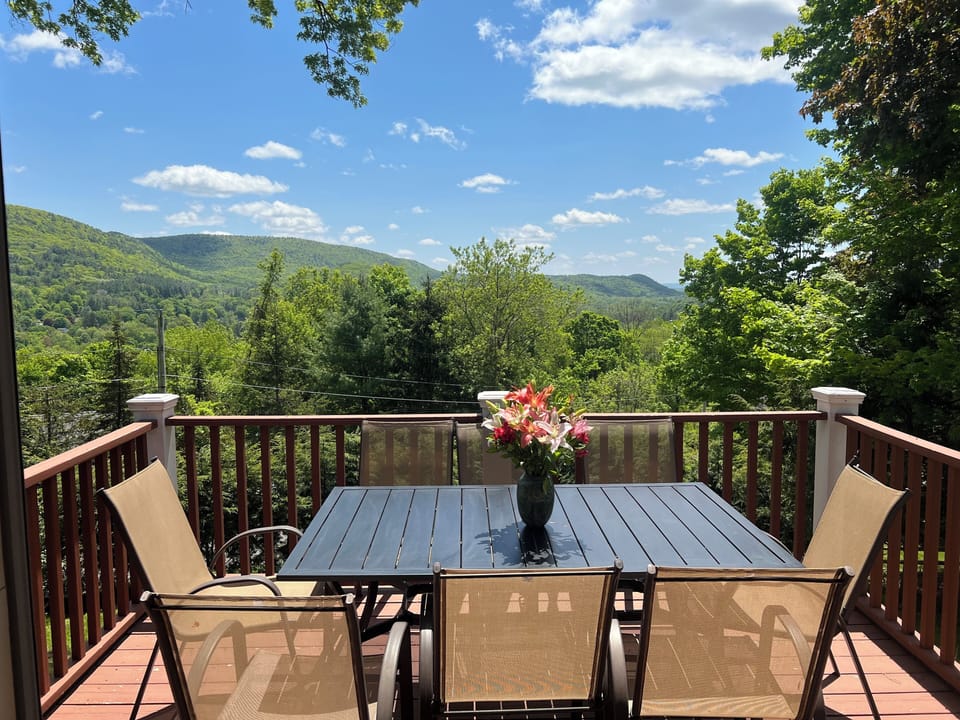 Gem of the Berkshires- mountain view. Near lake Mansfield, walk to downtown