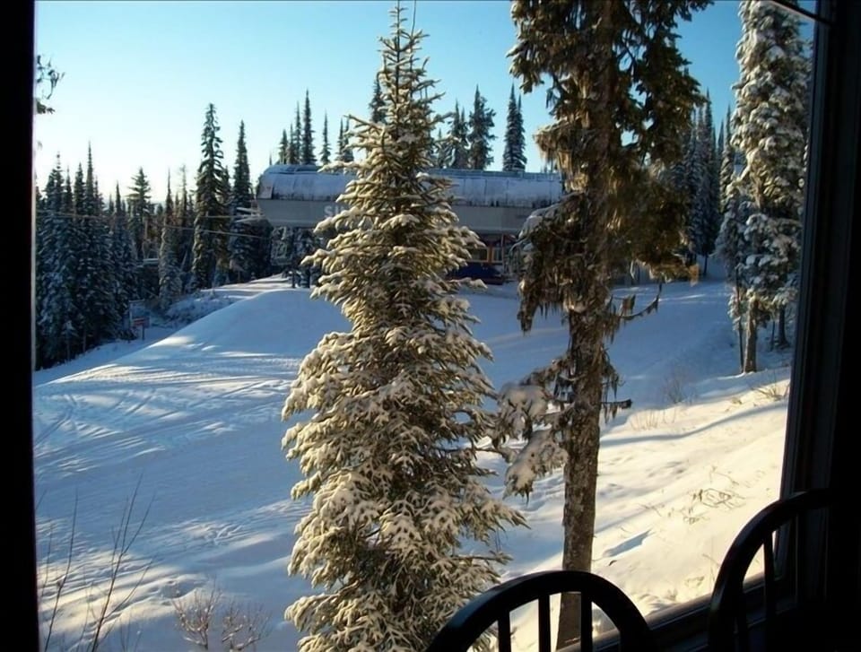 View from dining room