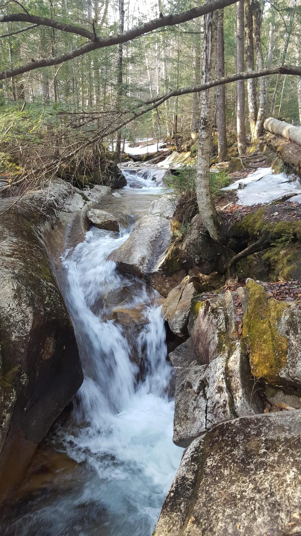 The Basin