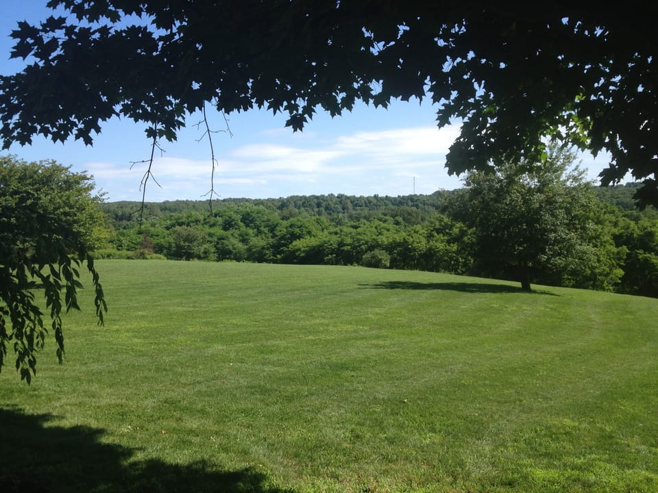 View from deck