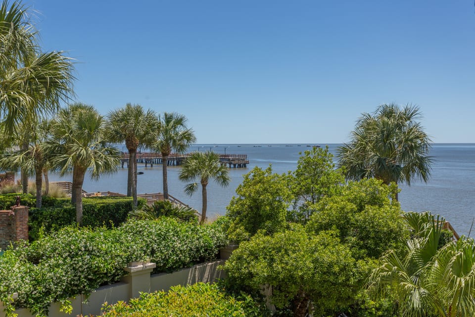 Backyard includes many palm trees