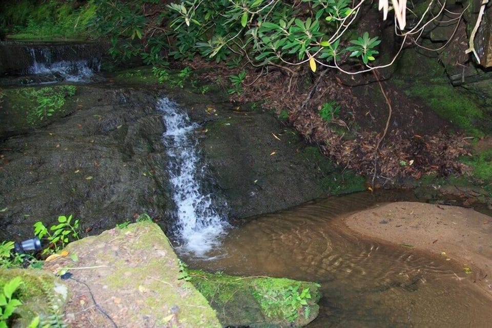 View of waterfall outside the master bedroom  