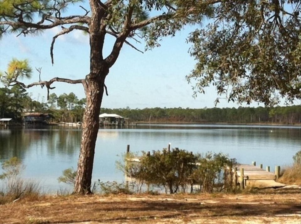 Picturesque view of the creek