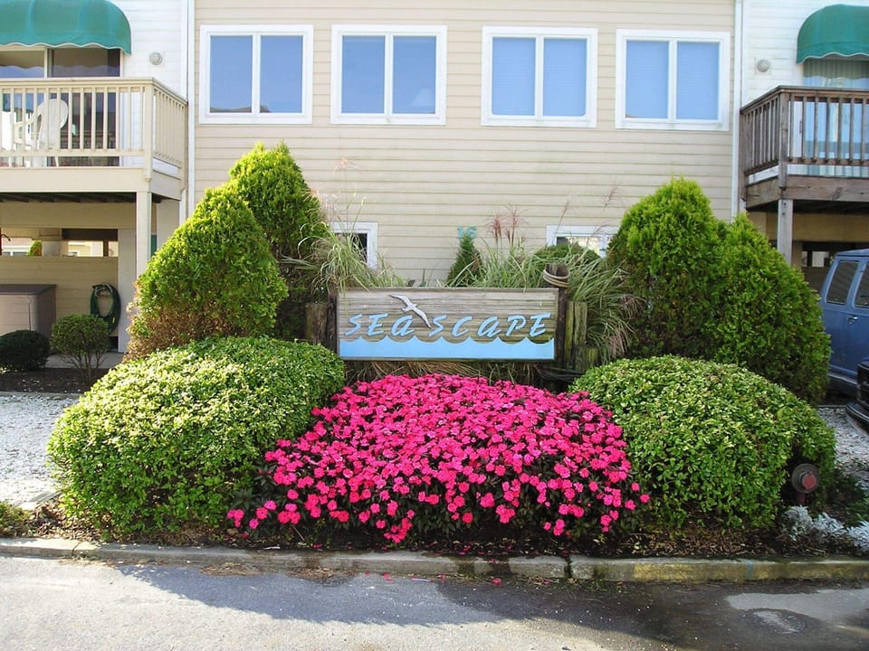 Welcome to Seascape!