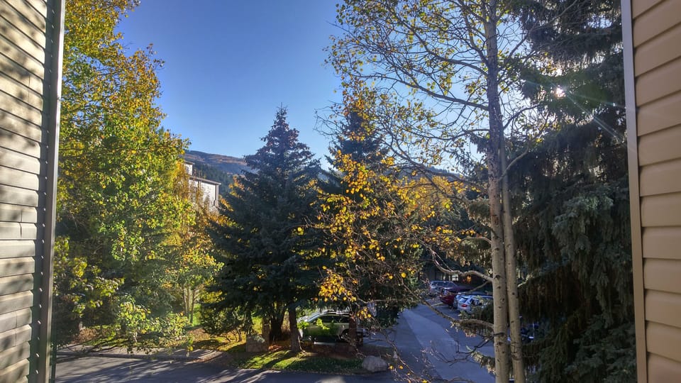 View from balcony