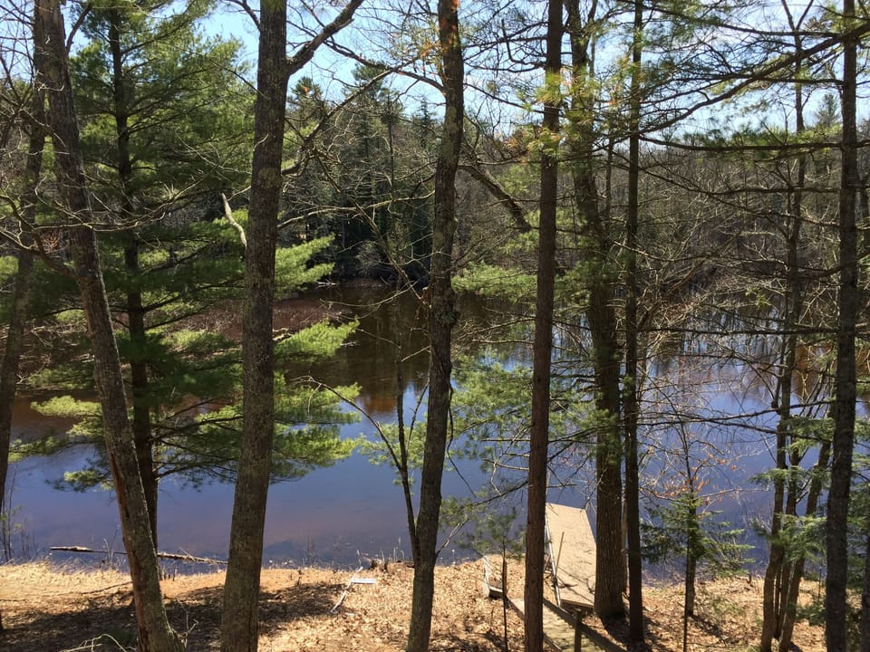 Private dock will be in the water for your fishing and swimming enjoyment!