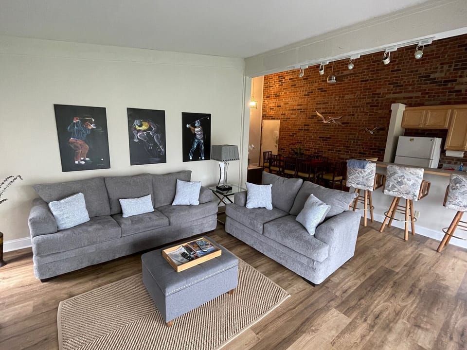 new living room furniture including a queen sleep sofa purchased in April '22