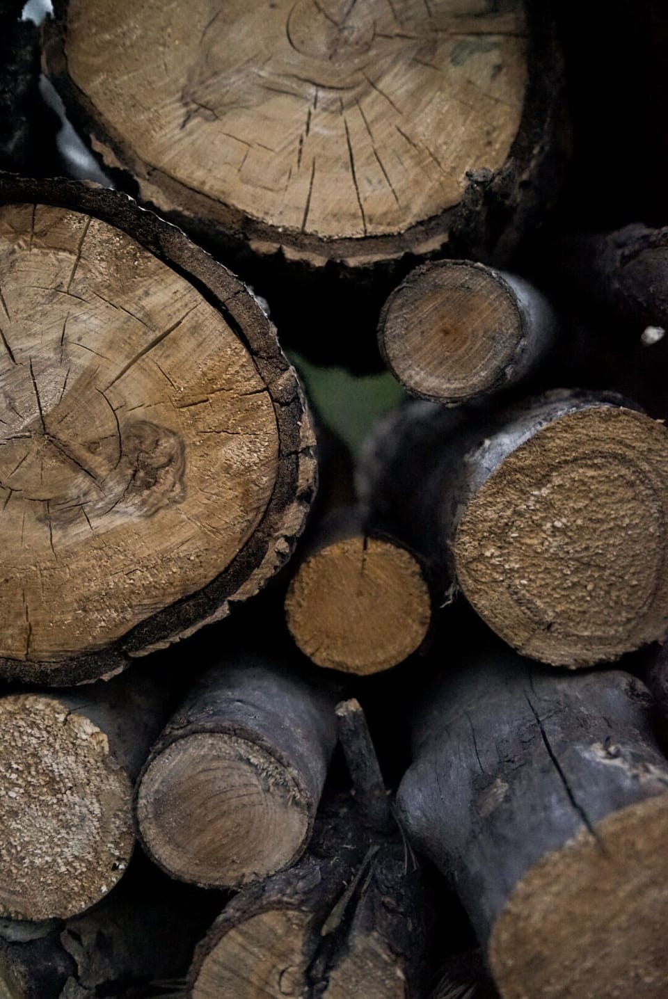 logs for the fireplace