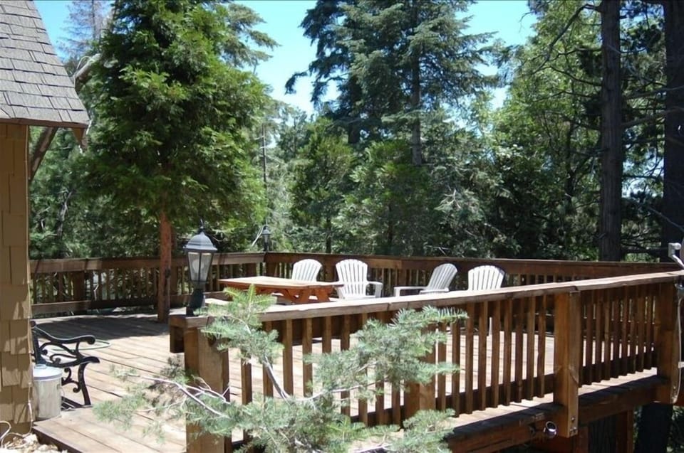 Picnic on the deck