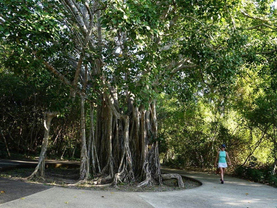 Beautiful walking and biking paths throughout the resort.  