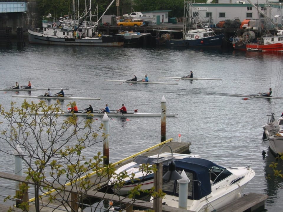 Changing scenery will fascinate you: rowers, seals, barges.