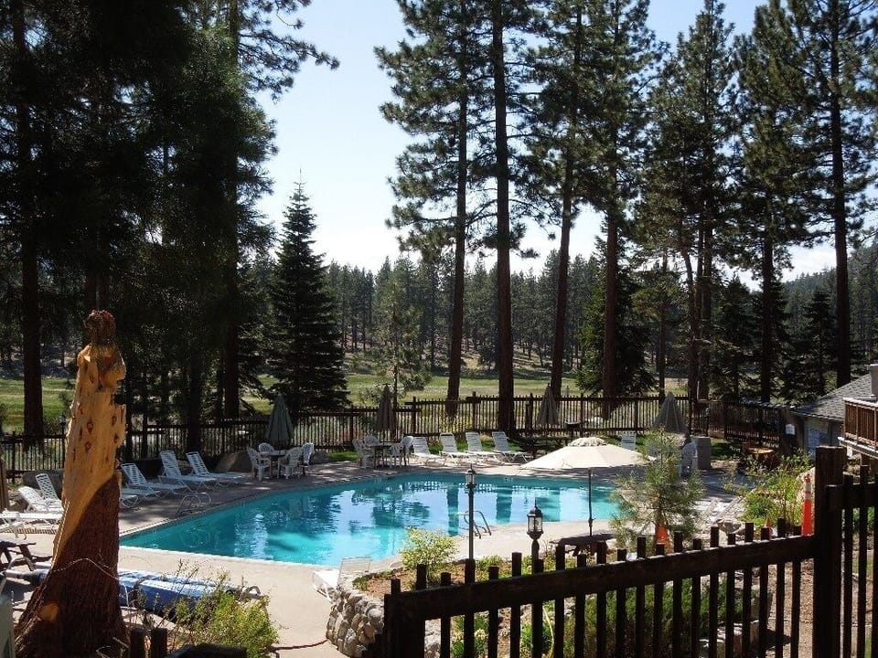 Local carved bear and pool