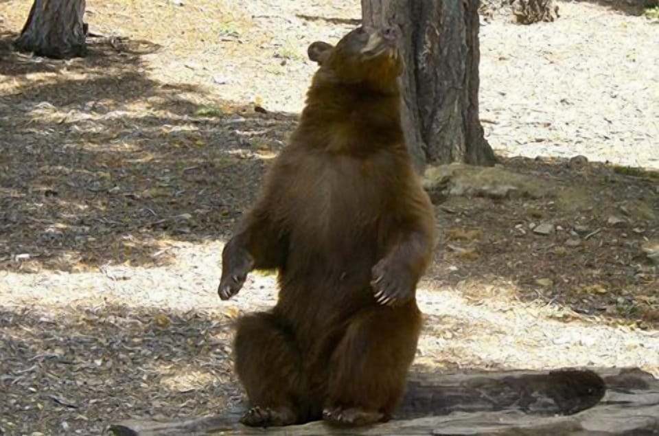 You might see one of these while on vacation here!