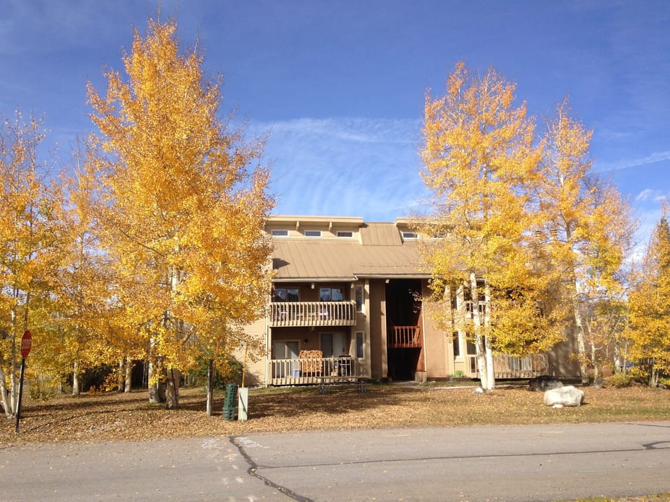 Although called the Scattered Pines, the aspens have the upper hand now.