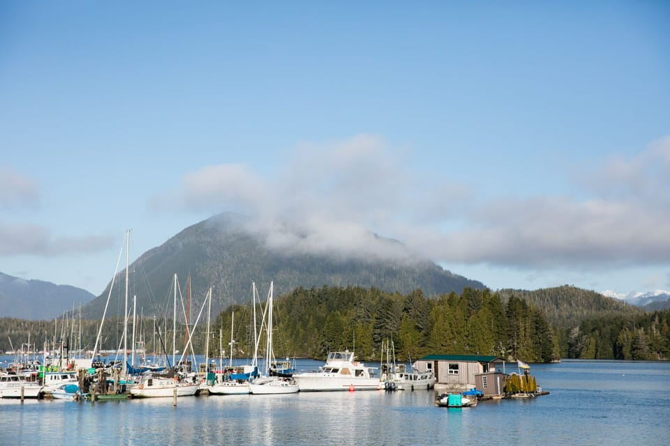 View of the harbour