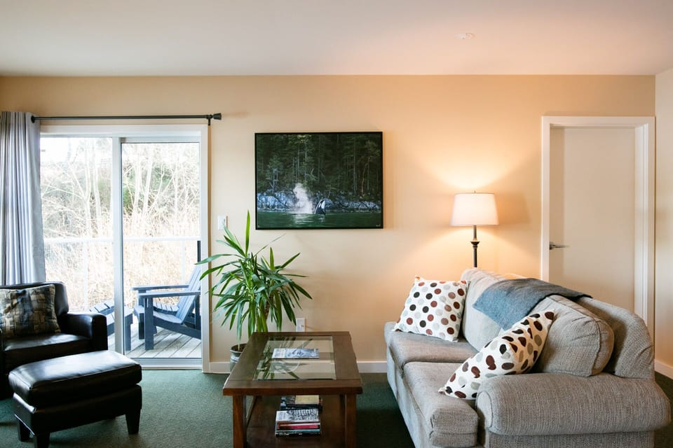 cozy living room with queen sofa bed
