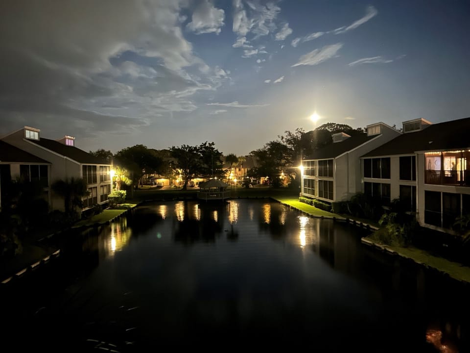 The lake at night.