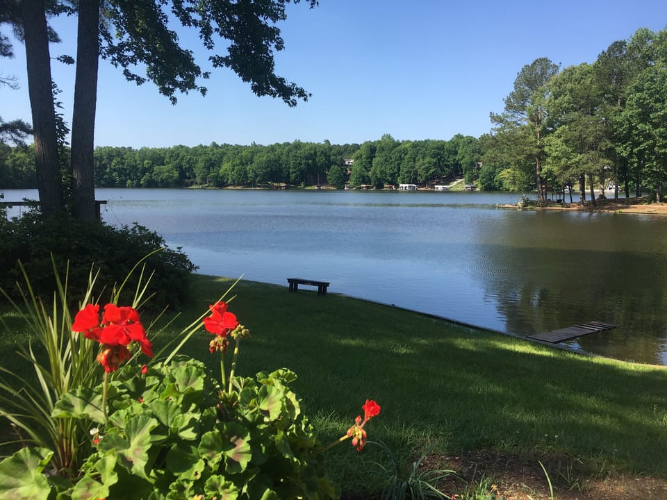 Perfect place for relaxing and taking in the view.