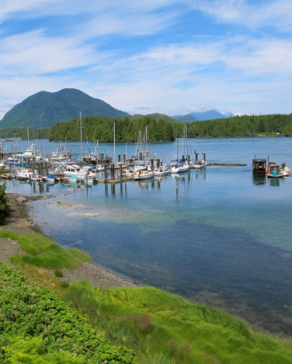 View from the deck looking North