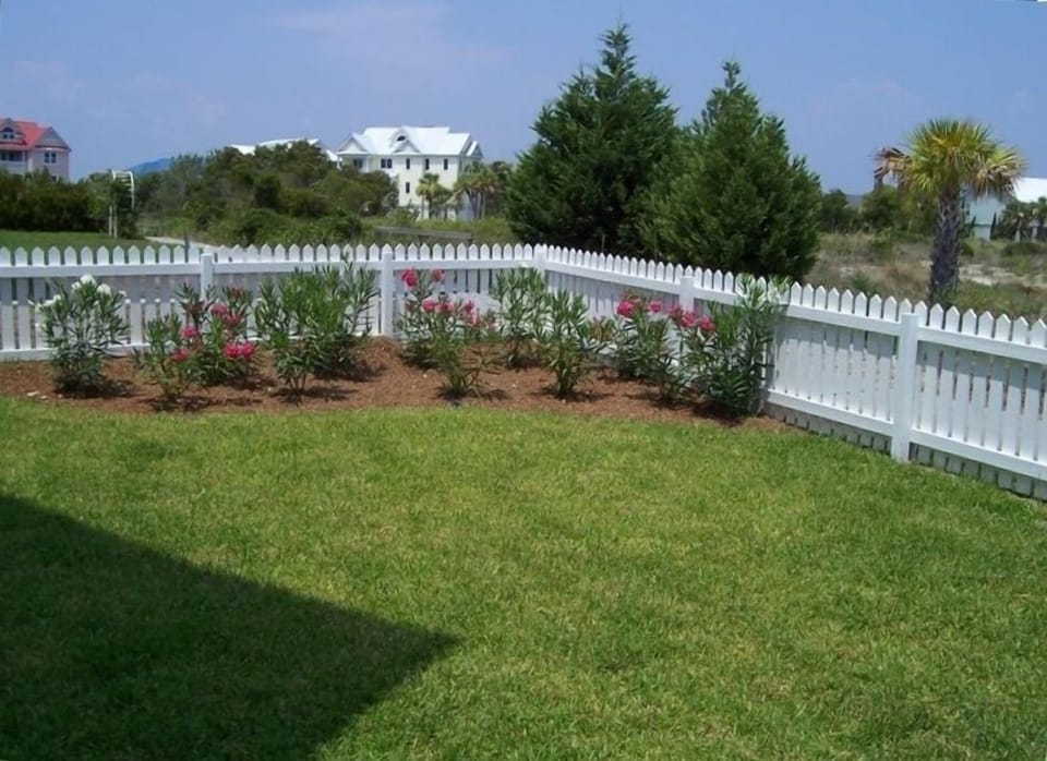 Pet Friendly Back Yard