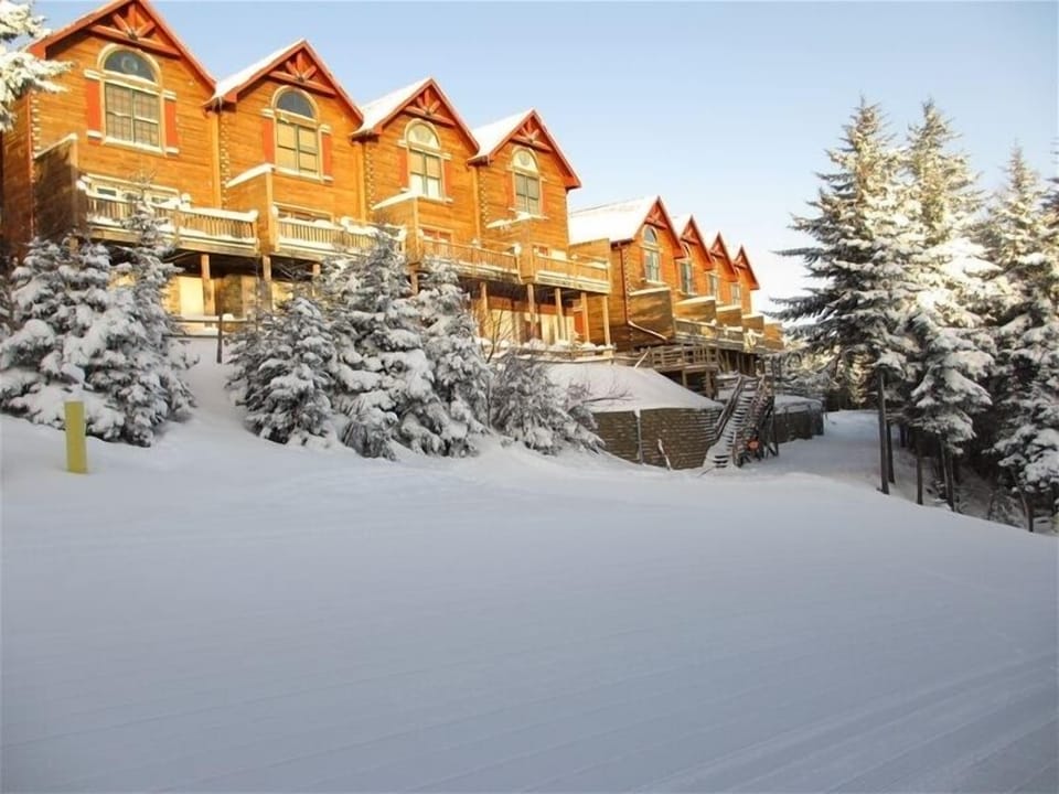 Loggers Run #24 - The Sweetest Spot on the Mountain! (photo taken from slope)