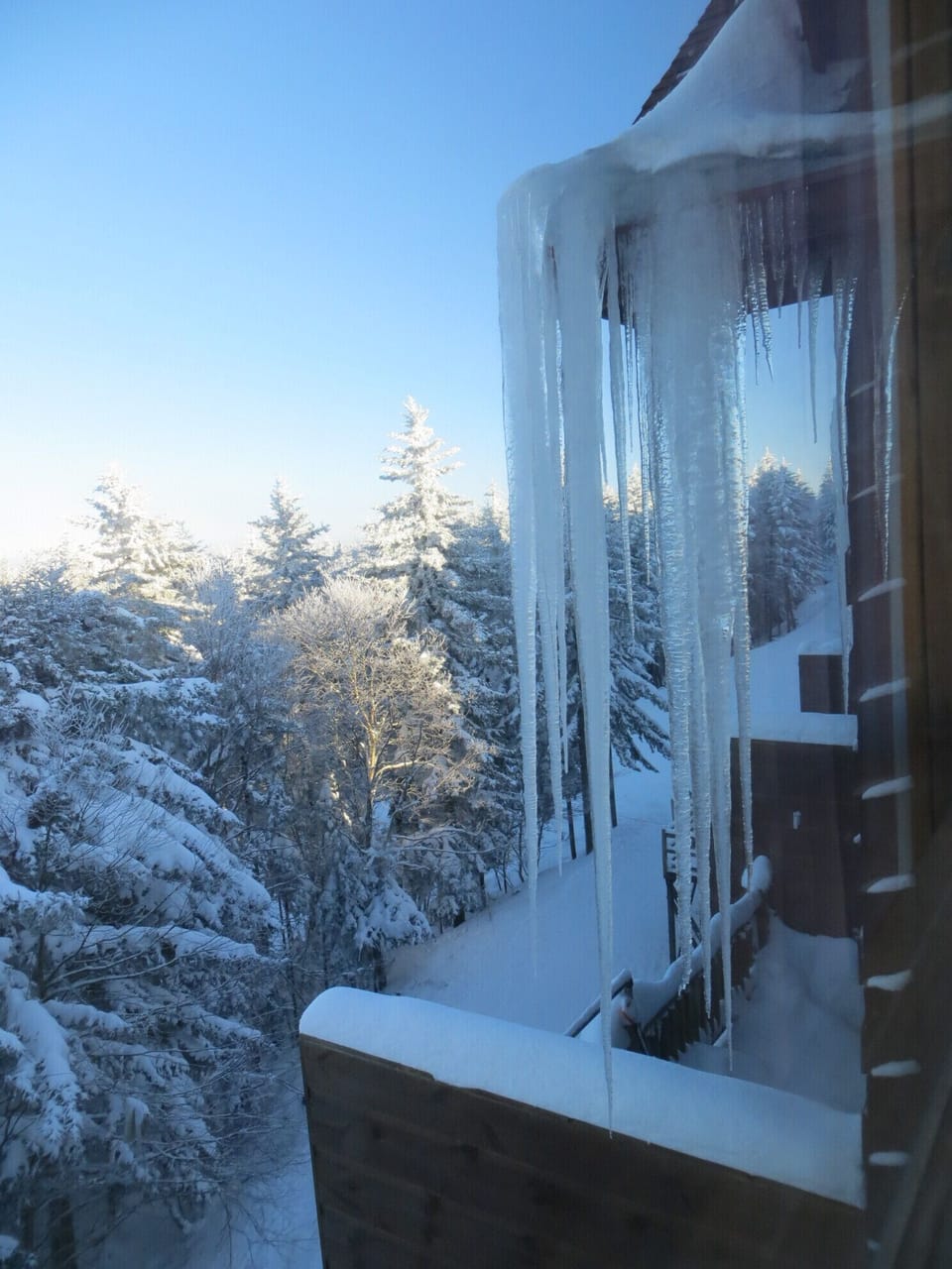 View from the Master Bedroom - that's the slopes