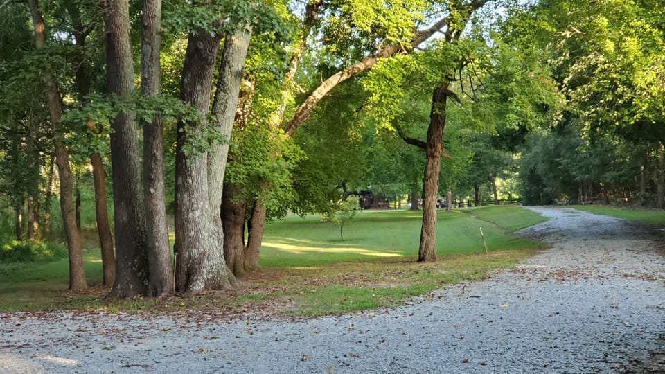 Great place for a walk!