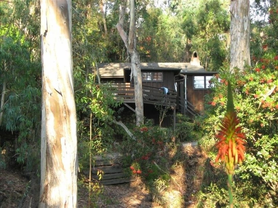 Look at Cottage from our canyon open space