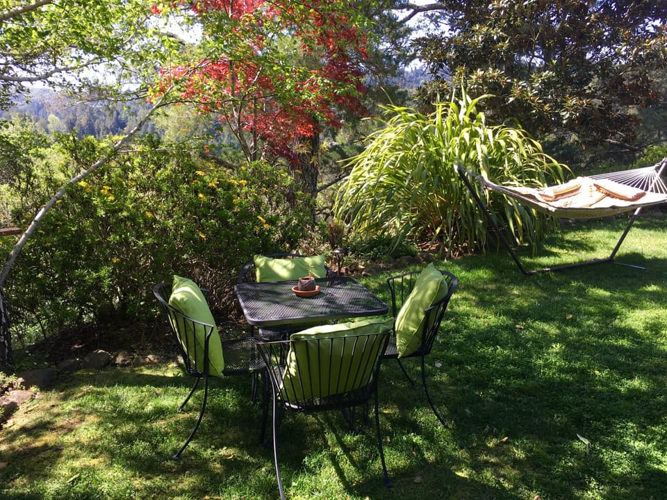 Under the birch trees just a few feet from your door. 
 Medicinal hammock 