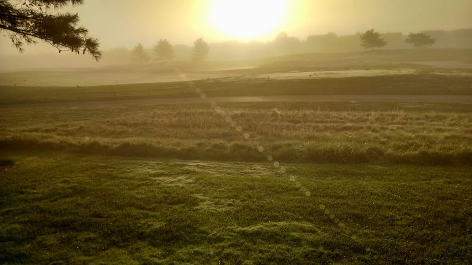 Glorious Morning in August
