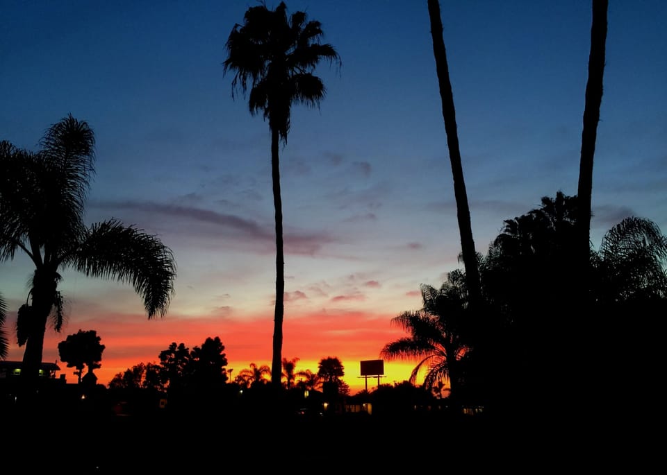 View from the driveway
