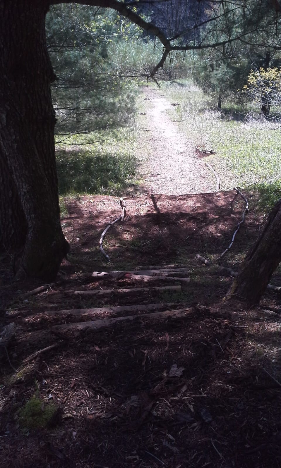 River path is currently closed due to Hurricane Helene damage