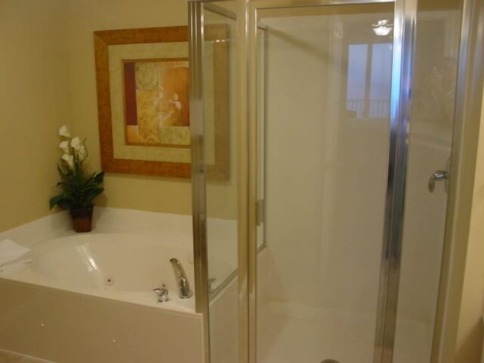 Master Bath with Shower & jetted garden tub.