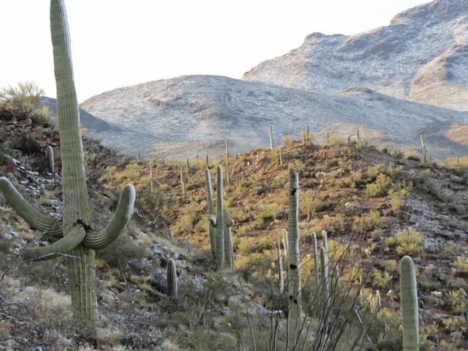 Rare event - snow on New Year's Day 2015.  Photo taken close to my casita.