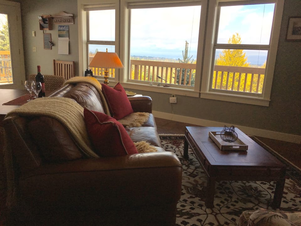 The view from the living room out to the Straits and Canada.