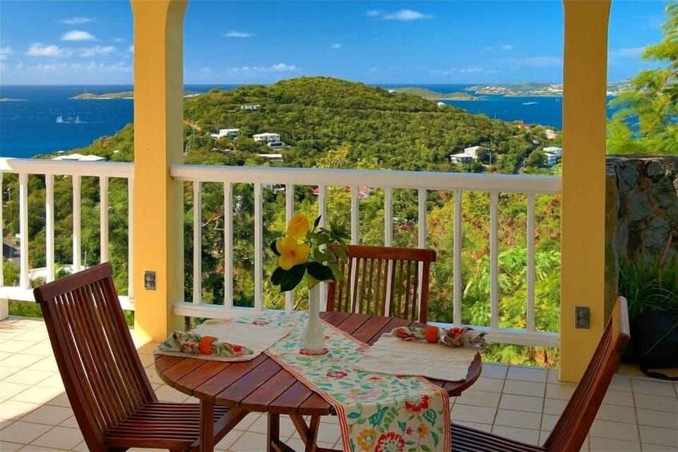 One small part of our amazing view.
