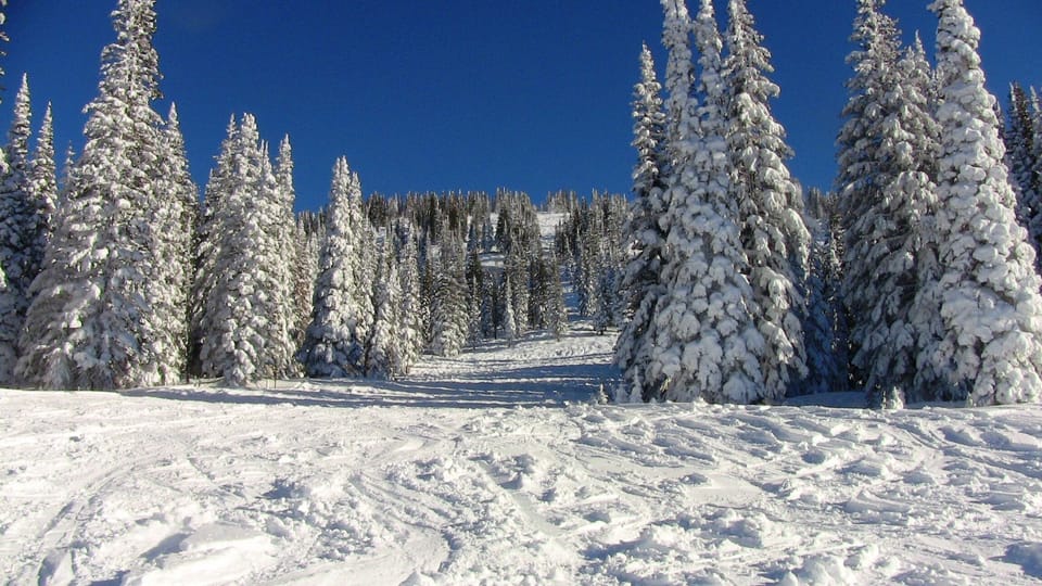 Fresh Champaign Powder 
