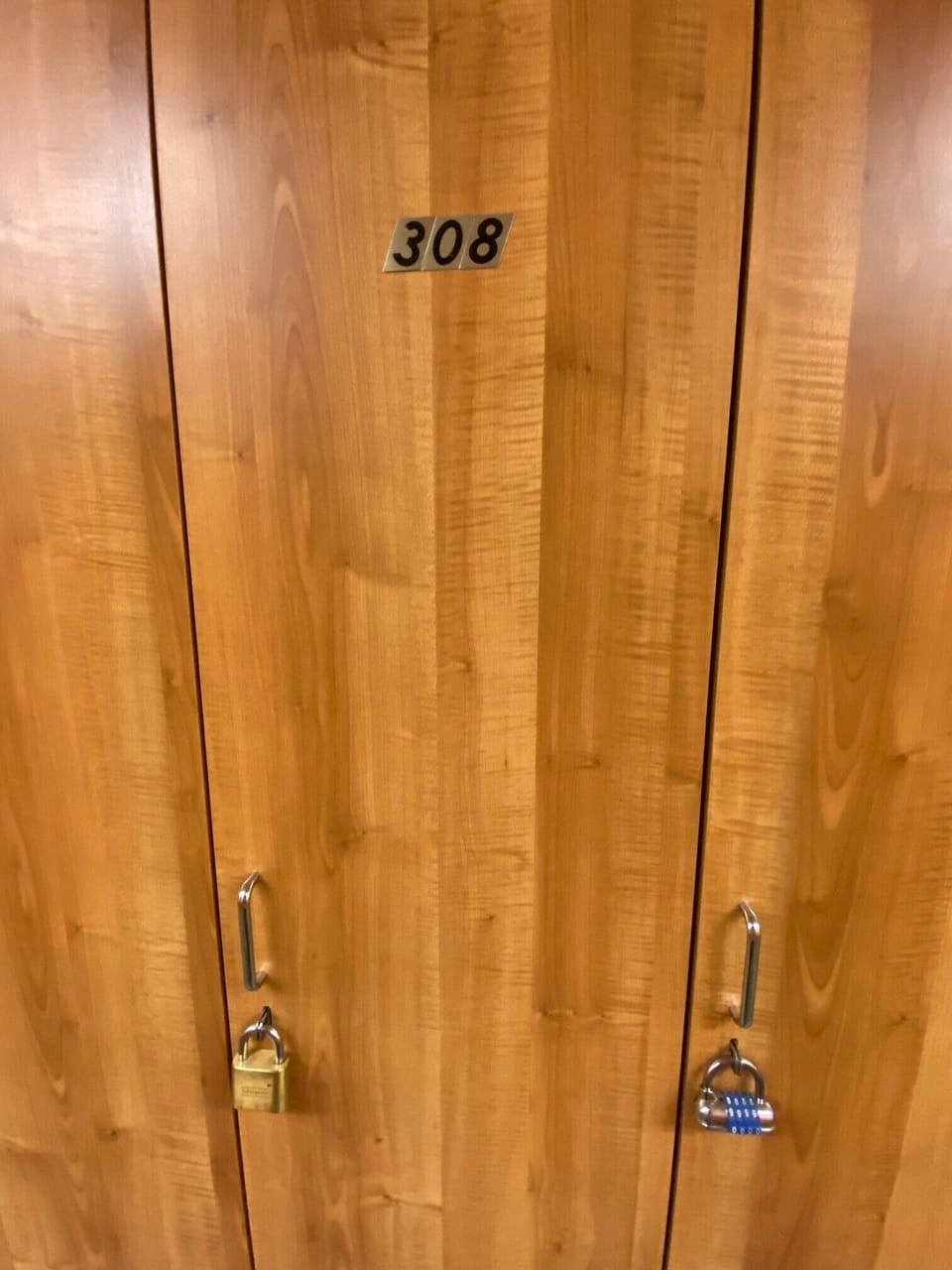 Private ski storage locker floor 1 of condo building. Store skis here or valet.