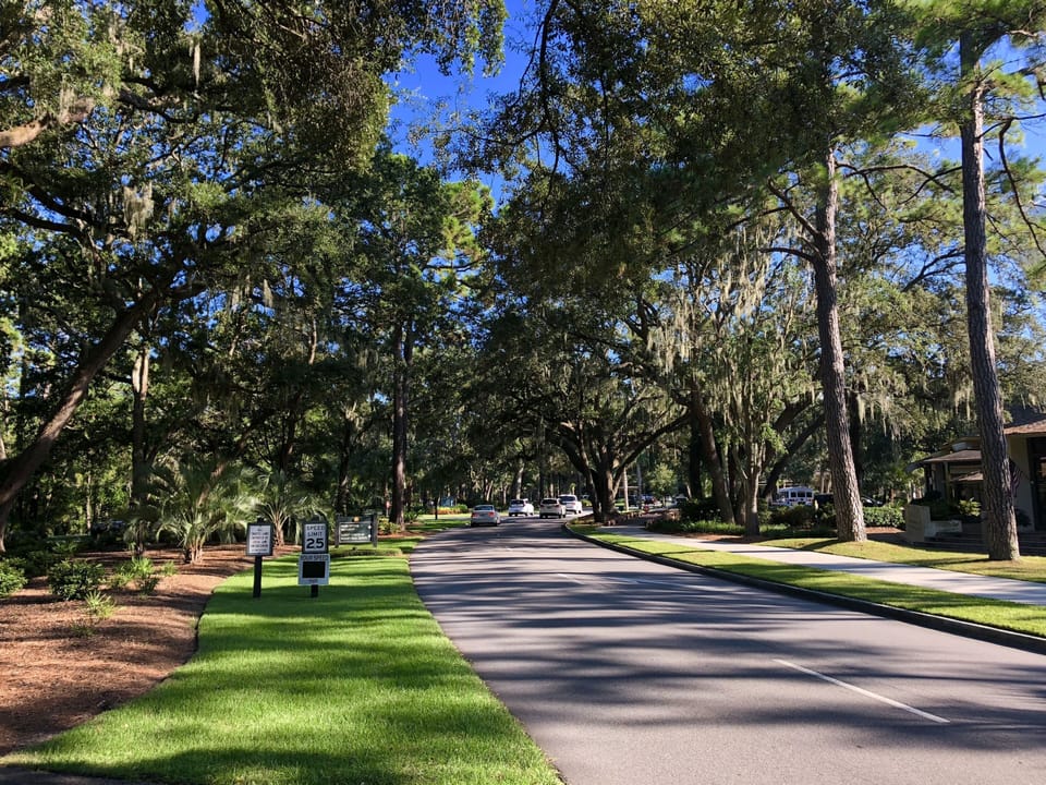 Tree shaded streets keep you cool while bike riding