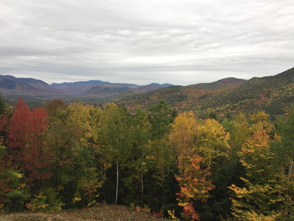 View from deck.
