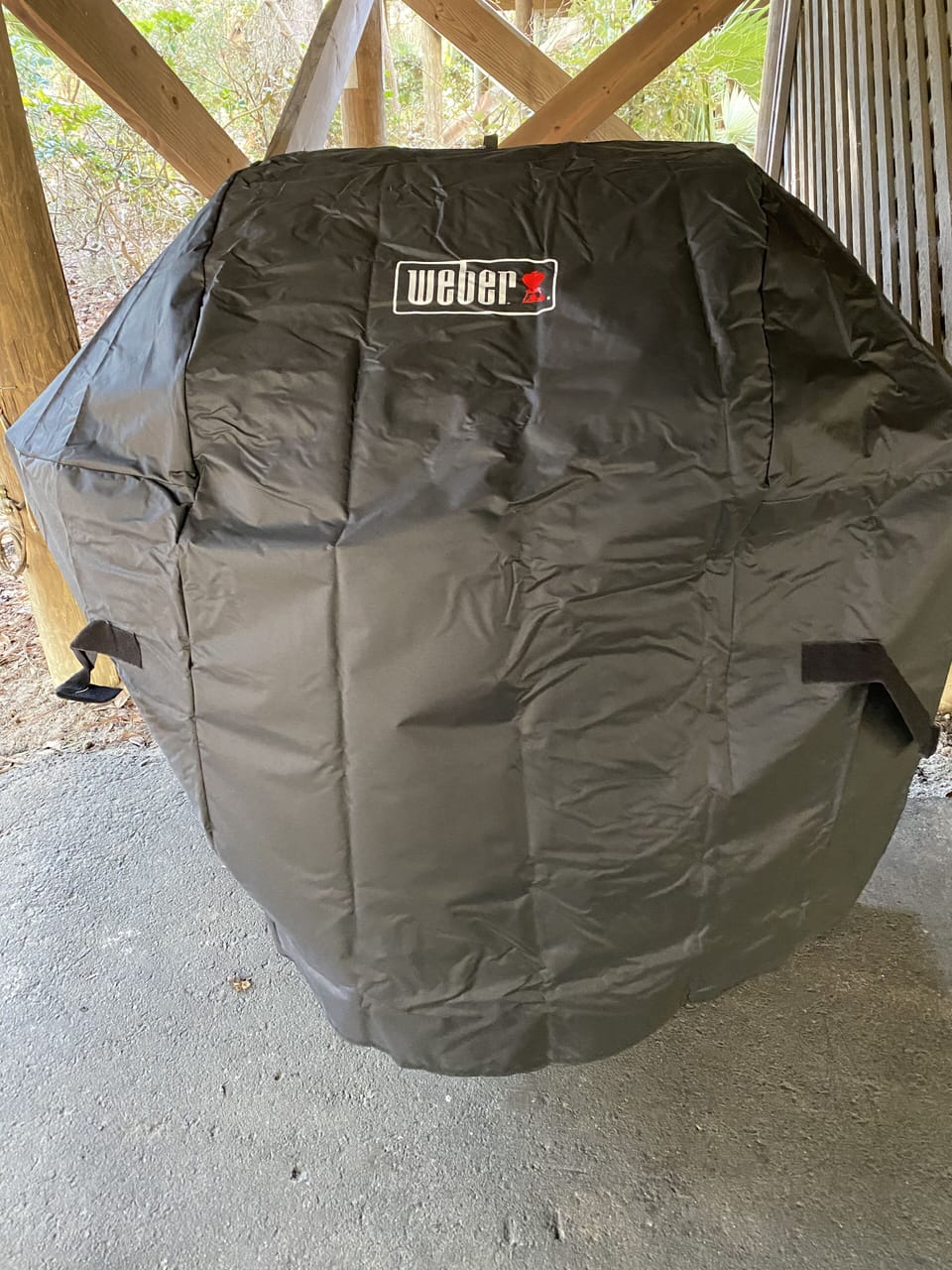 New Weber Grille