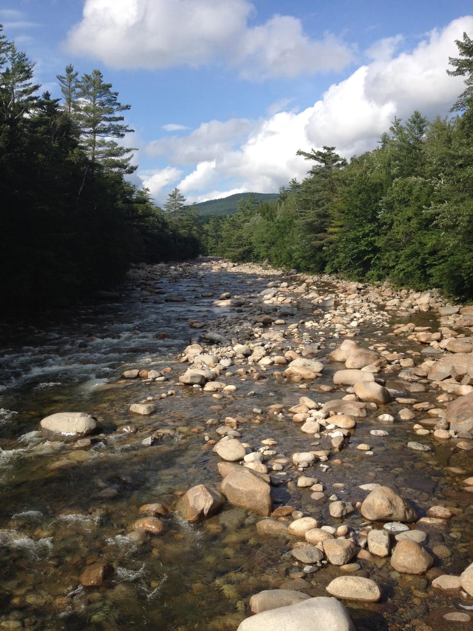 Enjoy great views of the Pemi from the suspension bridge at Lincoln Trailhead.
